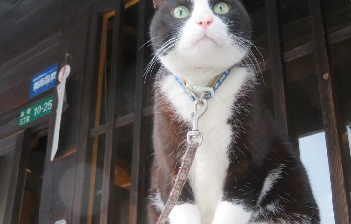 wElRxɂoIL|ŔL𖞋ifj