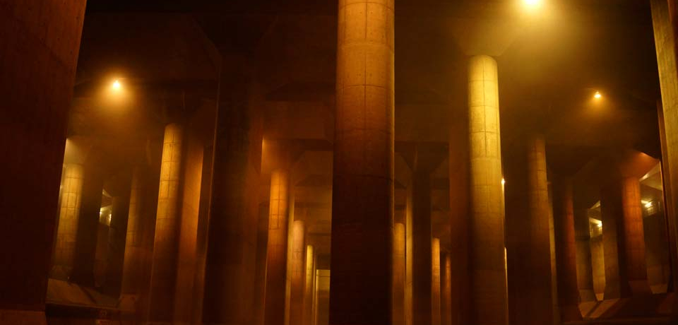 ʂ̐Eő勉̒nusOsHv̌w@