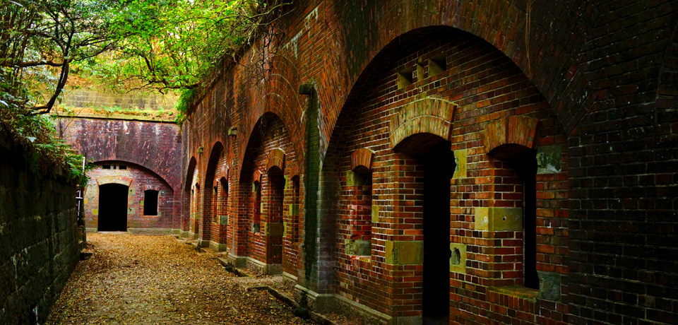 ���s���^�ƌĂ΂��p�ЌQ�̓��E�a�̎R���F����