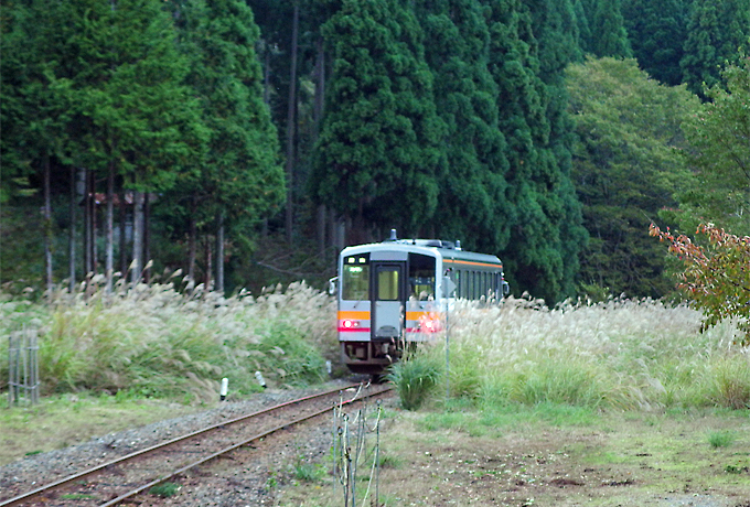 쌴ɖԂƖؑwɁIRk̈ŃgȓS