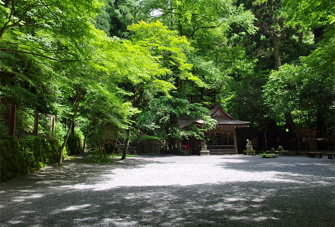 �Z���Ȑ_�C�ɖ������ِ��E�I���s�E�M�D�_�Ђŉ������鉽��������?!