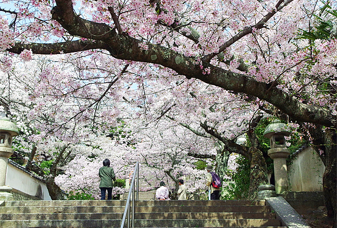 ɖꂽImX^WbNA̍܂݂X|bg3I