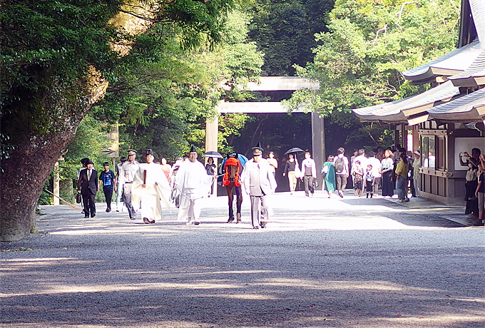 _n_lɎQqIɐ_{{ÁuQv̓ʊƂ