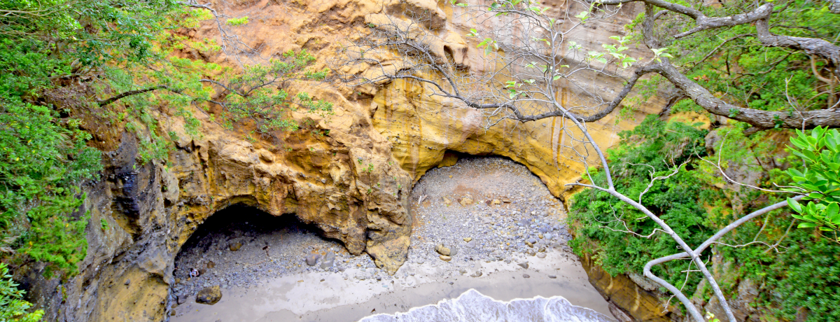 ɓEcSNSX|bgE{AcThXL[ŗVڂI