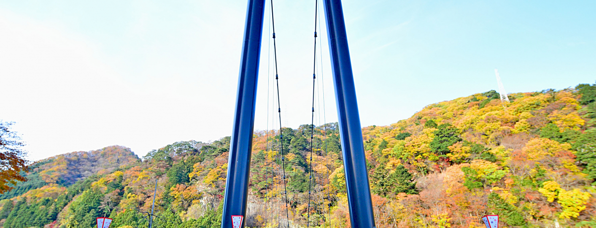 S{쉷uS{|݋v͉тƎq̌pX|