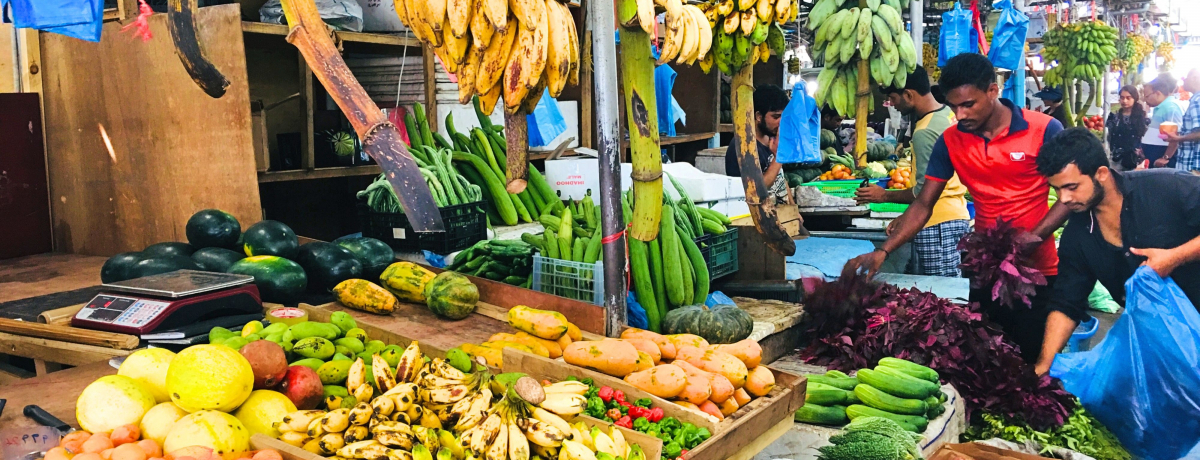 H₨yYIfBu̎s}[PԂŊό@