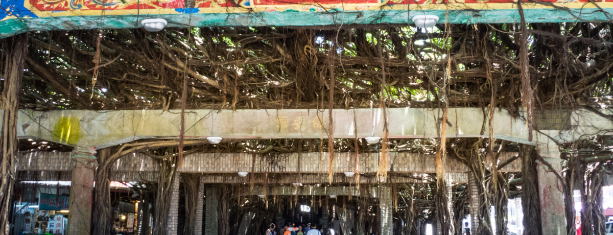 ��p�O�΂́u�ʗ��ۈ��{�v������Ղ̋����K�W���}��