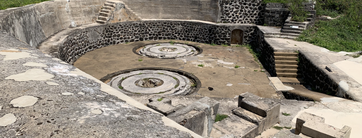 pEO΁uTCv̒nBƊCɂꂽȌ