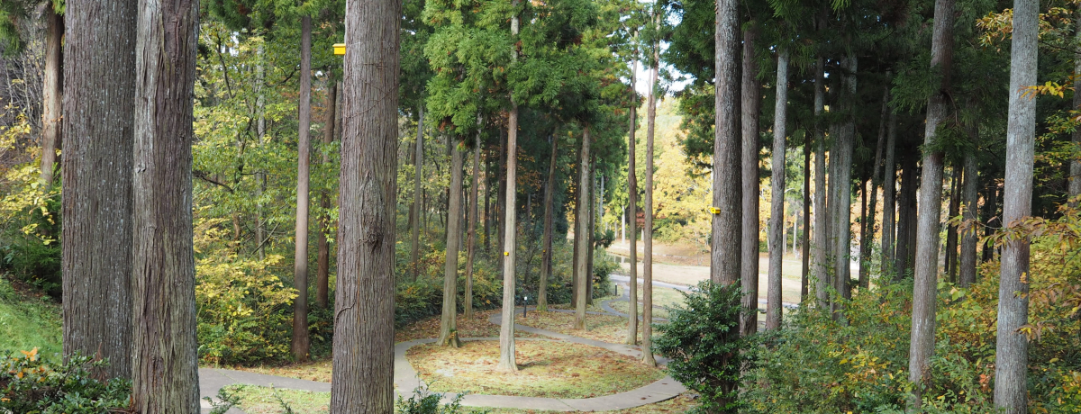 ݁`IEs̑fGȃA[gX|bguÑn̐Xv