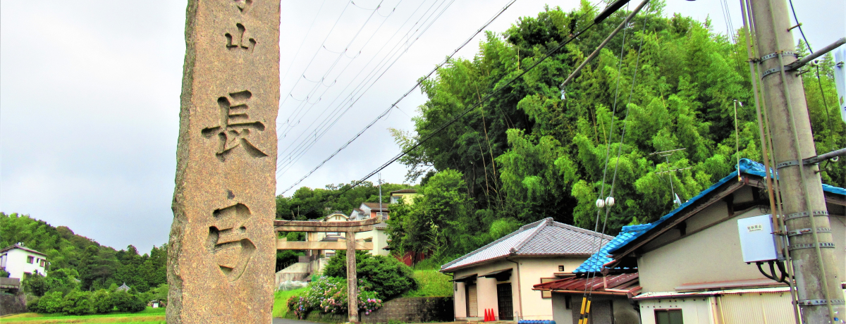 AWTC̉BX|bg܂Iޗǌsu|v