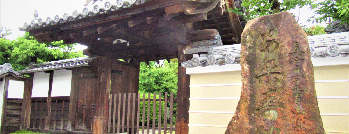 @̕\I̍Ō鋞sśuy@v