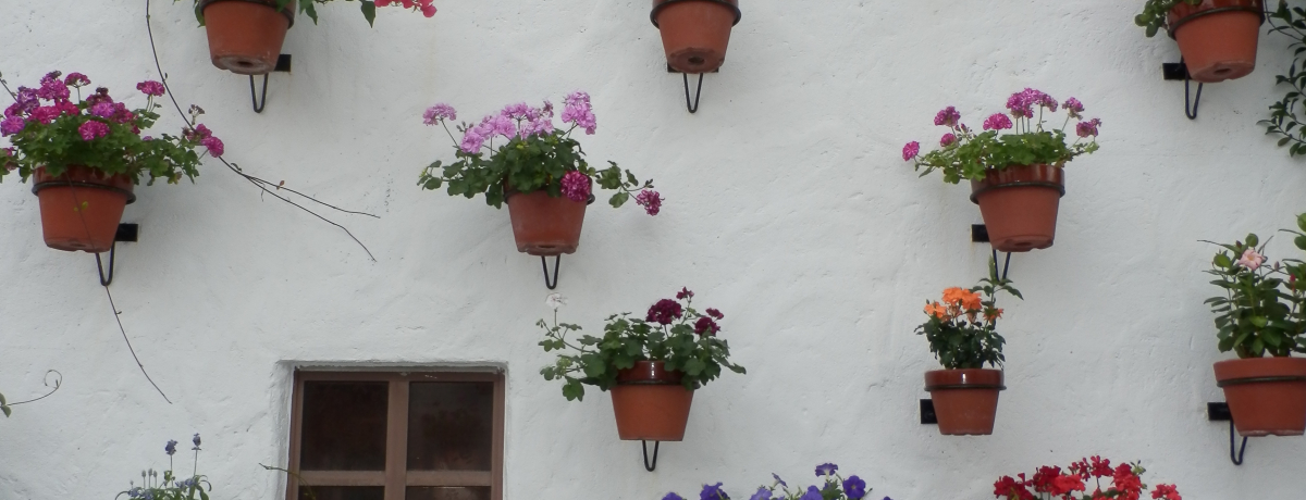 AgNVȂIuXyCpPGXp[jyނ߂