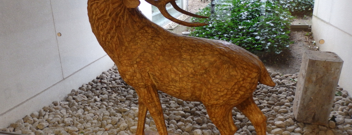 �琔�S�N�̓`���I�ޗǌ��̍H�|�i���ꓰ�ɏW�߂��u�Ȃ�H�Y�فv