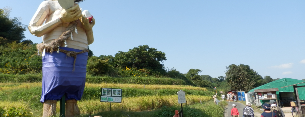 IcɘȂގpɖIޗǌn̂