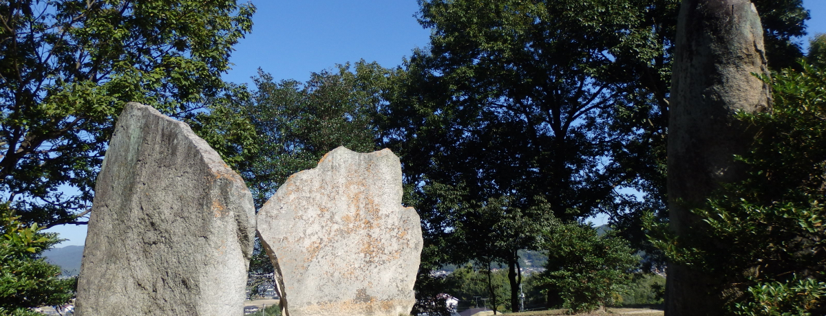 {ŃXg[T[NƐ_̐lʐ΁IHq~sE|z