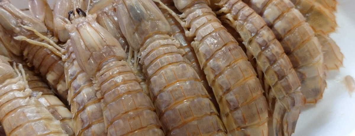 ���˓������Ă̐H�ށI�V���R���߂��鉪�R���}���s�O������