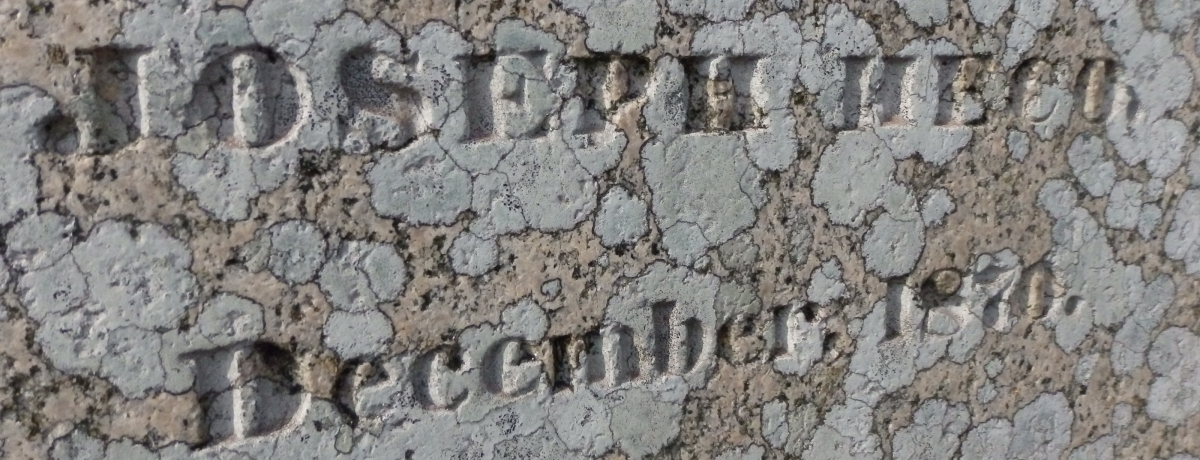 V݂̐̐eIɌduWZtEqRv䂩̒n