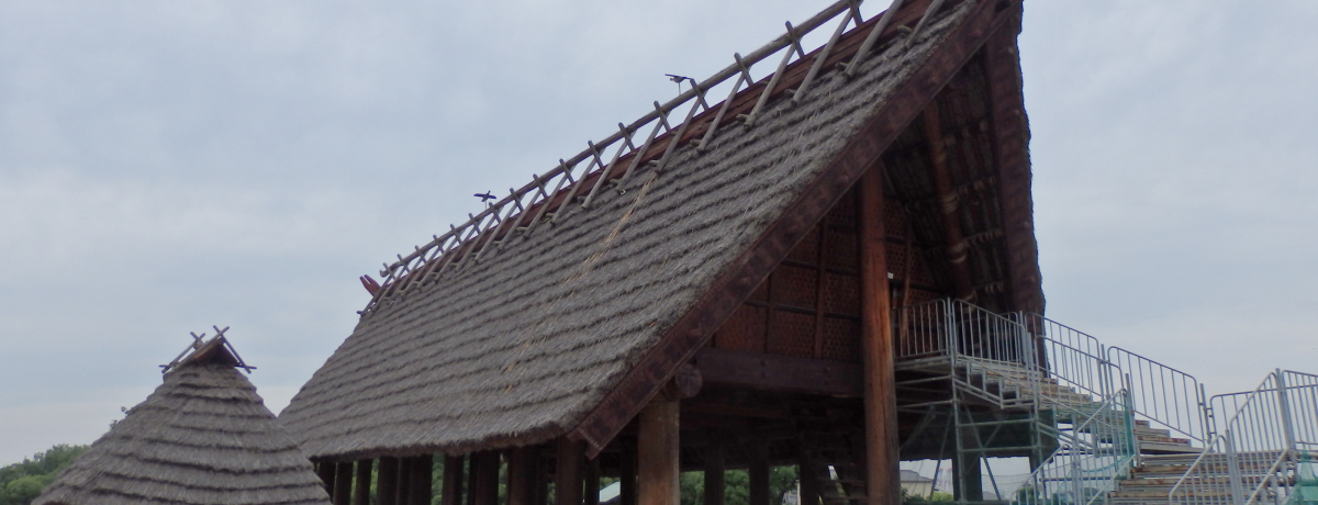 �ő勉�̖퐶��^�����Ɉ��|�I���{���n��̒r��]�����