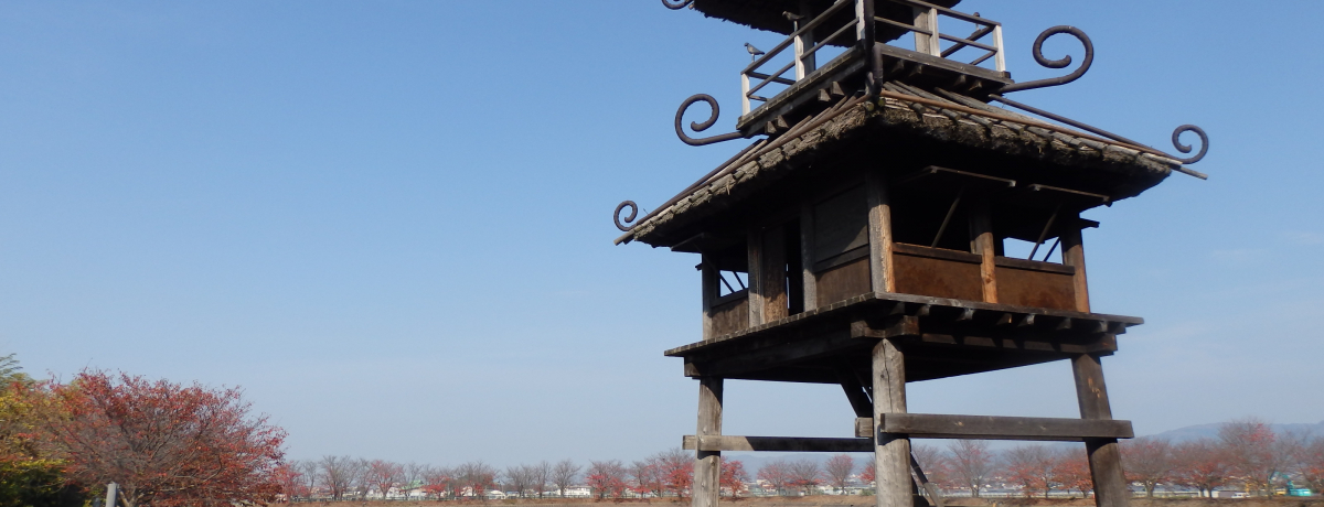 ��̘O�t�H�ޗǌ��u���ÁE����Ձv�͋E�����\����퐶���