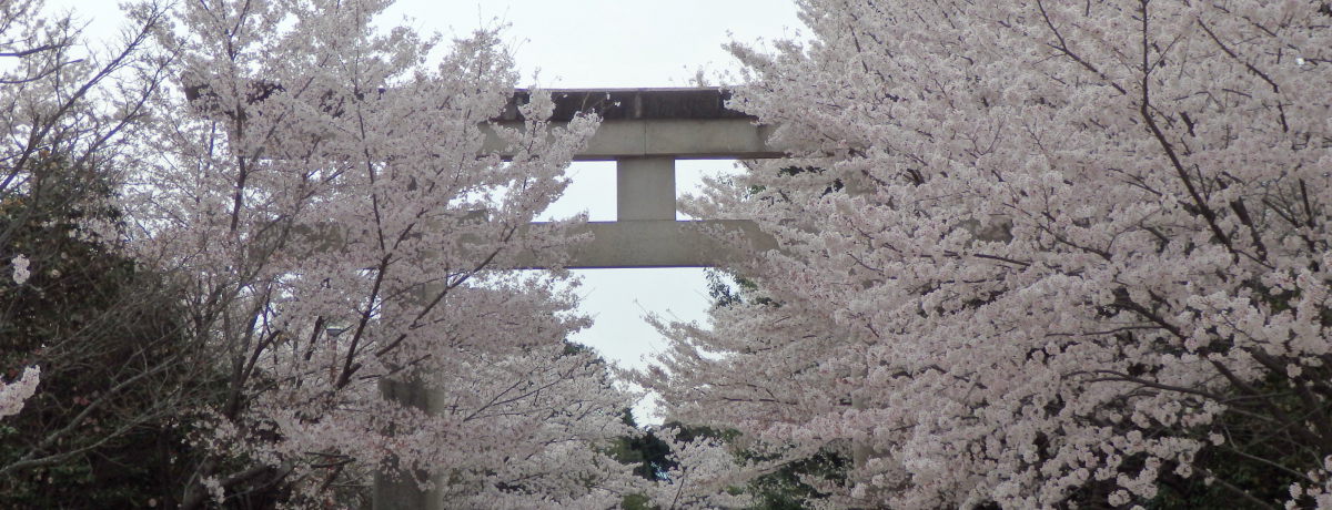 �B�ꂽ���Ԍ��X�|�b�g�I���ƒւɍʂ�ꂽ�ޗǌ��썑�_��