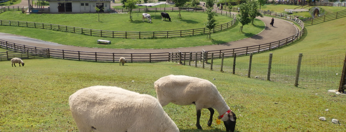 €̋킽KIޗǁuEAj}p[Nv