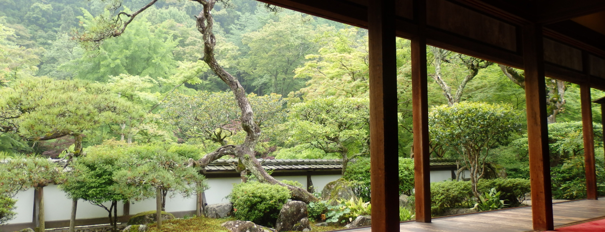 �V�΂����\�I�[�R�H�J�̕��͋C����������ޗǂ̌Ù��E���