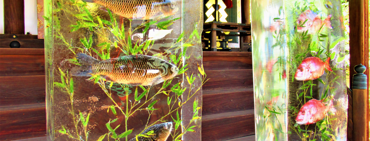 X̂Ȃj!?ޗǎsEX_Ђ́uXՁv