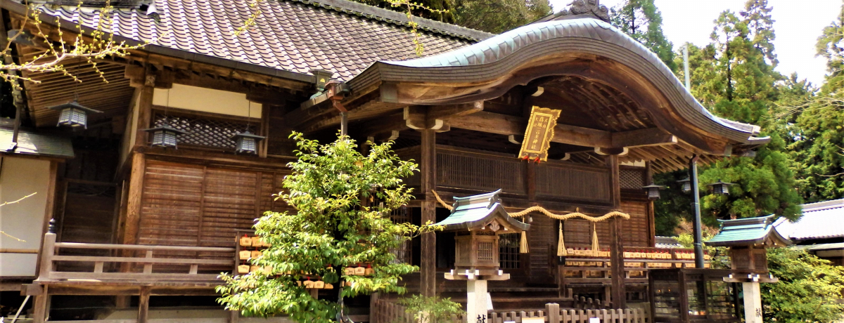 yw!?!?ޗǌ䏊s̊ꌾ_