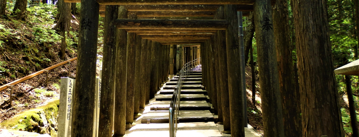 ޗǂ̎RɕבЁIH{o}闧r_