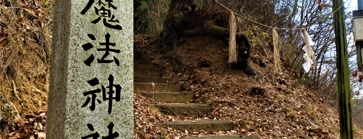 g@_ЁhIRЎs̊ό͖@ƋS̋H