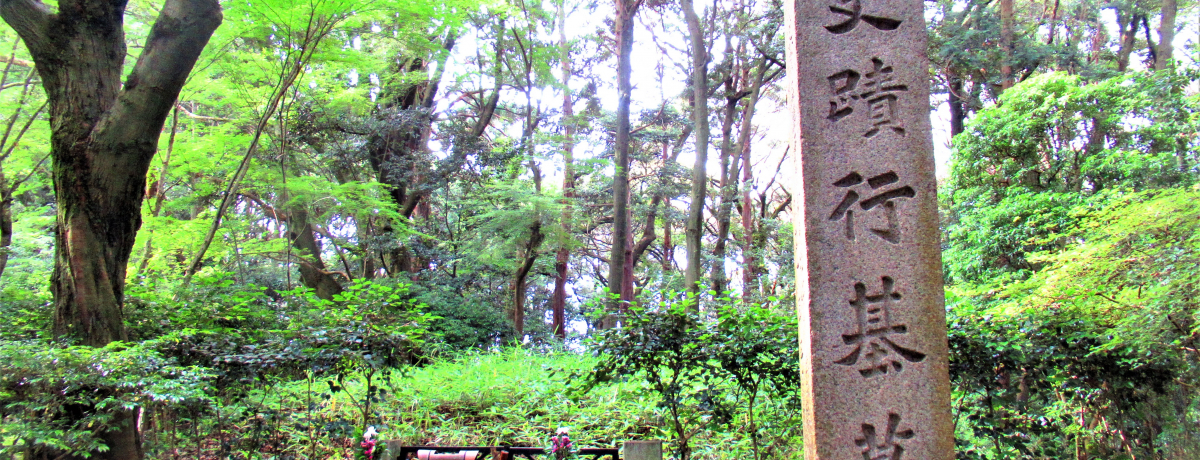 Ñȗ̑̒n߂ImꂴޗǁEjU