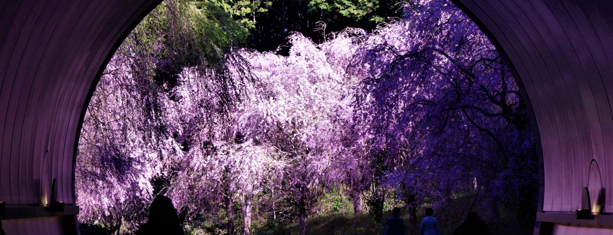 ֐Ō̏t\IꌧuMIHO MUSEUMv̍