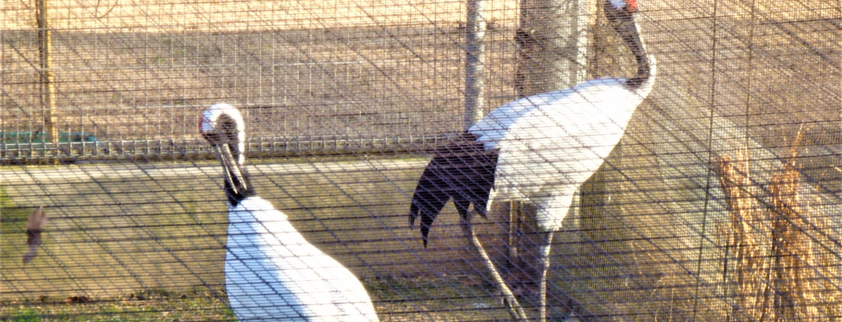 gHɃ^`Ed!?RЎsuт̗v