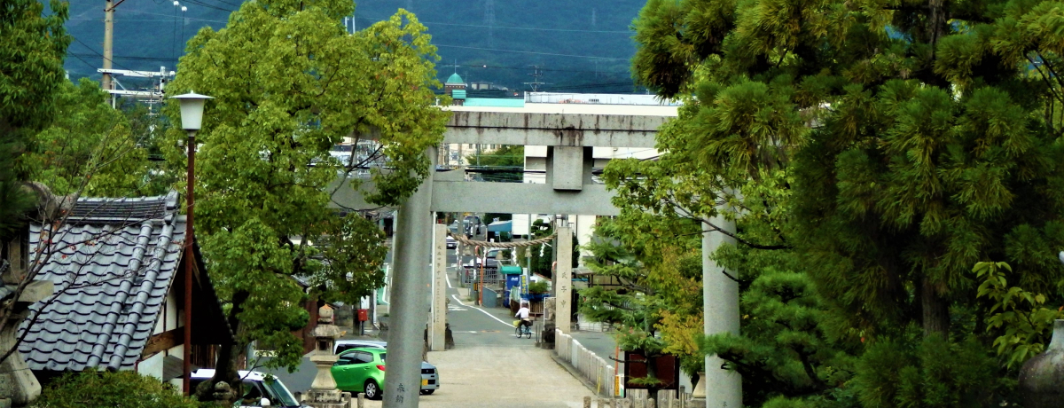 ���Ɠǂނ́H���{�x�c�юs�u����v���䍰�_�Ёv�͌Ñ�̎�