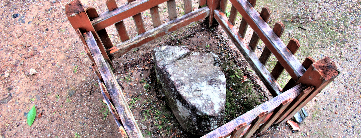 ���̐΂����g�o�����!?�^�C�A�b�v�̋��s�u��ώ��v