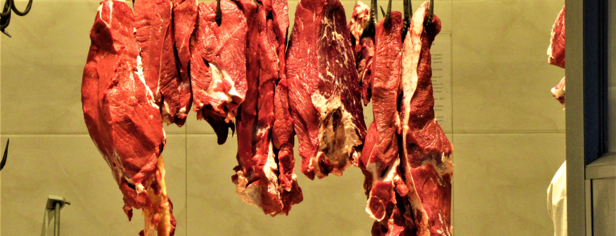 ���旿�������́I���X�N�܂ł���k���ő�̃C�X�����X�u���X�v