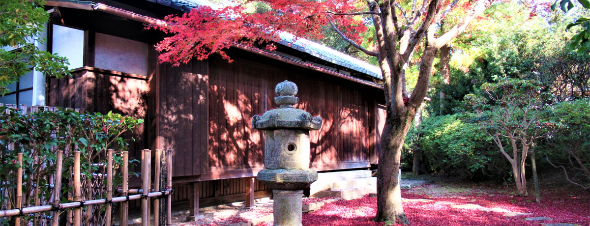 �ޗǍ��������فu�H�̒뉀���U�􂵂܂��񂩁H�v�ōg�t�⒃�����y������