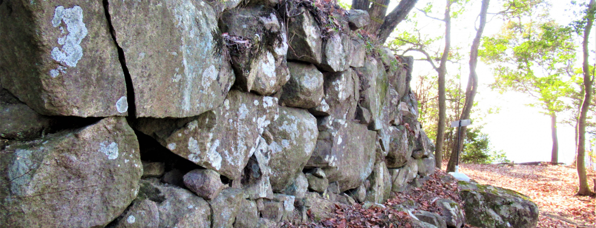 dEԏ̉hƔߌIɌPHsuuՁv