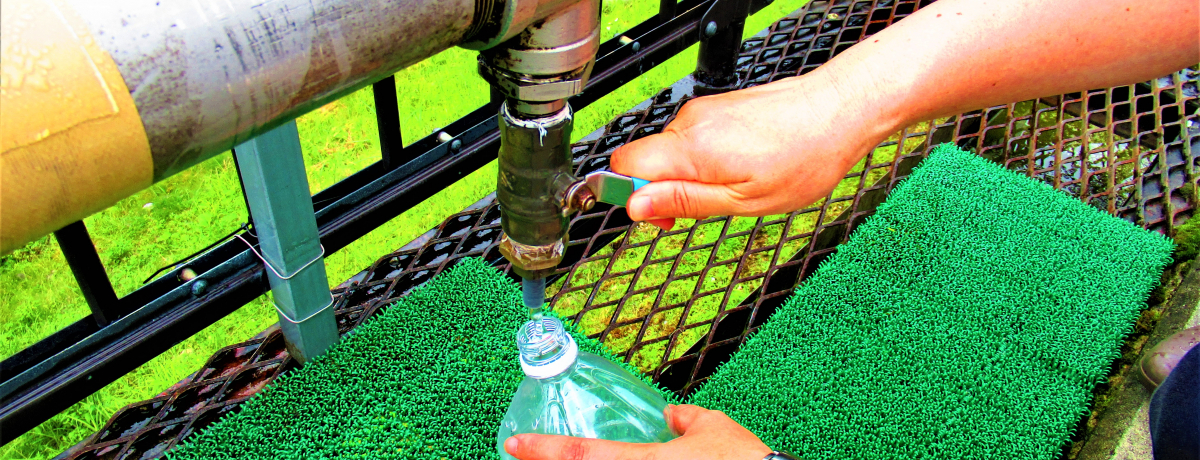 �g���낲�됅�h!?�ޗǌ��u���쉷��N���Q�v�œV�R�������\