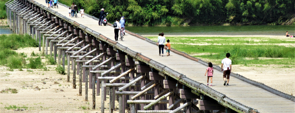 ������Ă��܂�����!?���s�{�����s�́u��É����i���ꋴ�j�v