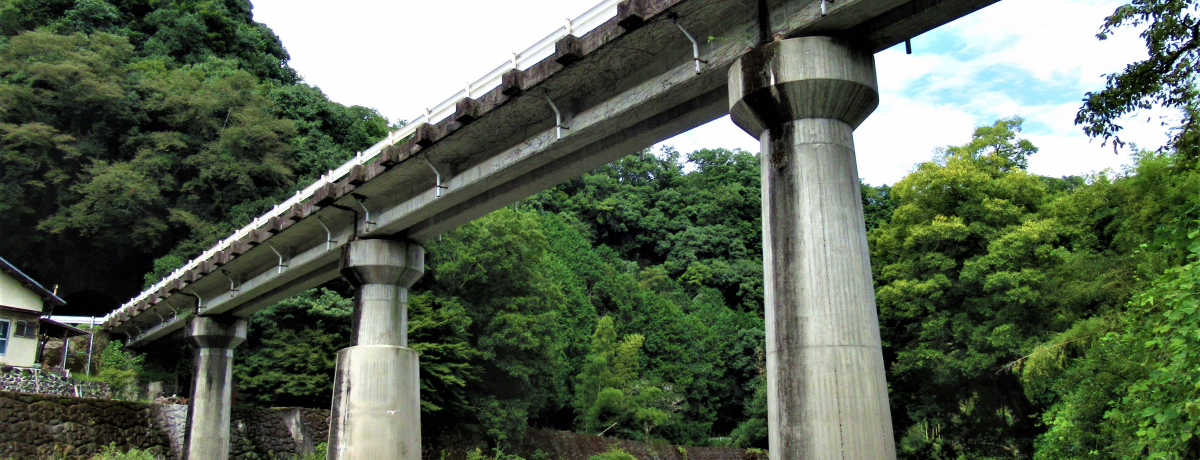 �I�ɔ����c�f�̖������ǂ�I�u�ܐV�S���v���߂���ޗǌ��ܞ��s�̗�