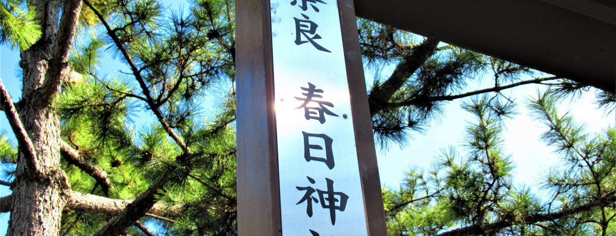 ɓޗ!?K̈؎sut_ЁvŁuޗǁv𖞋i