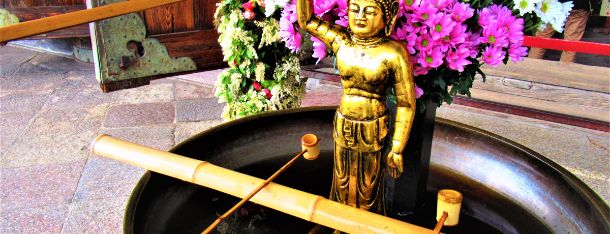 4��8���͂��߉ޗl�̒a�����I�ޗǂ́u�Ԃ܂�i������j�v