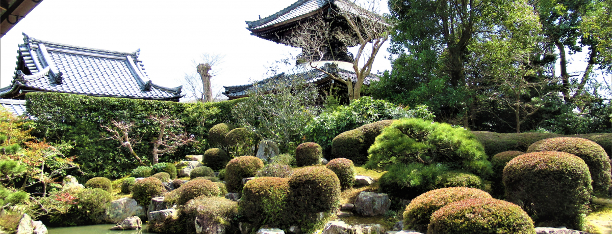 Ɠǂނ!?s{uv̌͒rӏ܎̖뉀