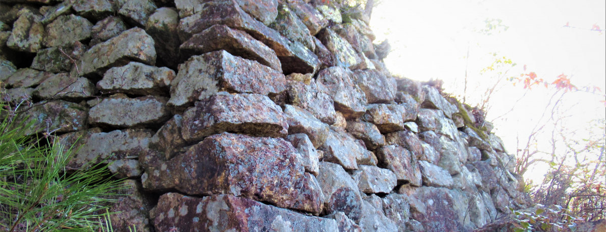 Ί_\͕KIY㎁̋EROśuOΏՁv