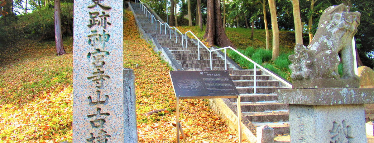 �s�K�؂ȉ��ϒn�ɂȂ��z���ꂽ�H���R�s�́u�_�{���R�Õ��v