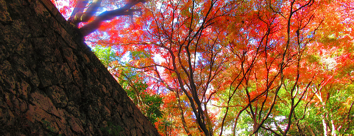 京都・大山崎町「観音寺（山崎聖天）」