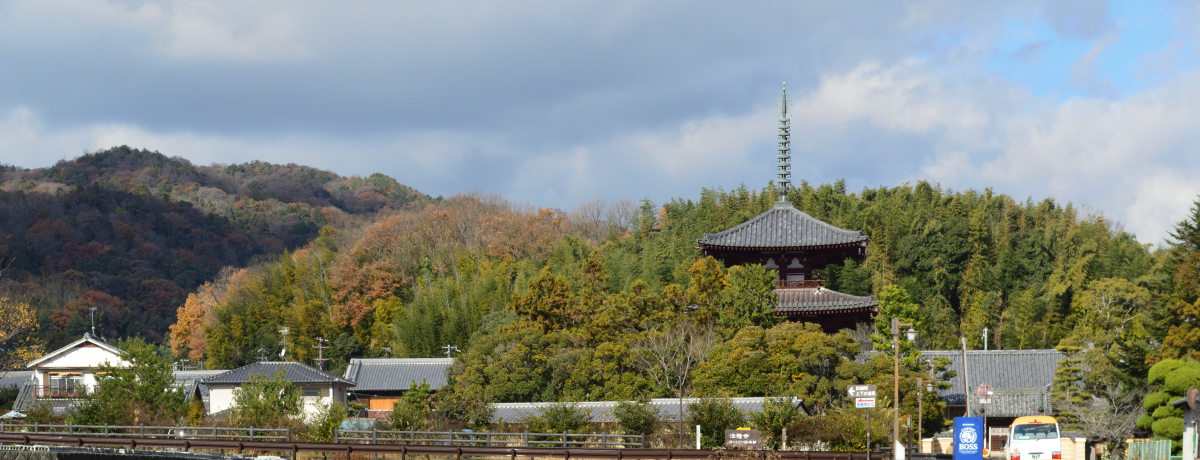 ~̓ޗǁu邪̗vŔ򒹃}̒SnEH[LO