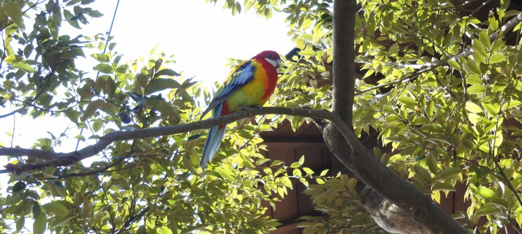 DKI씼̒ڂ̑OɁIʁuLx^E쒹̐Xv