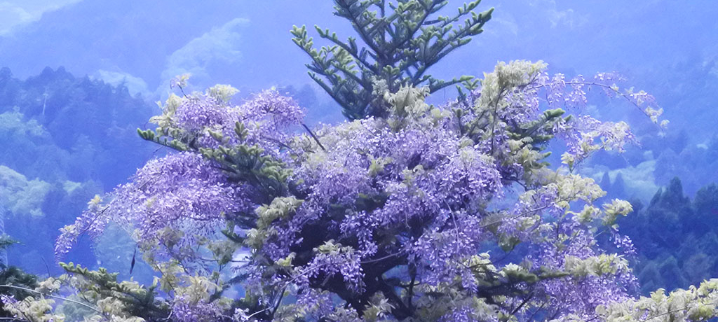 쐶̓̈|ÍIȄouṽtWv